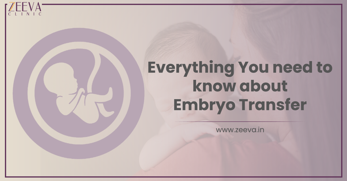 Everything You Need to Know About Embryo Transfer