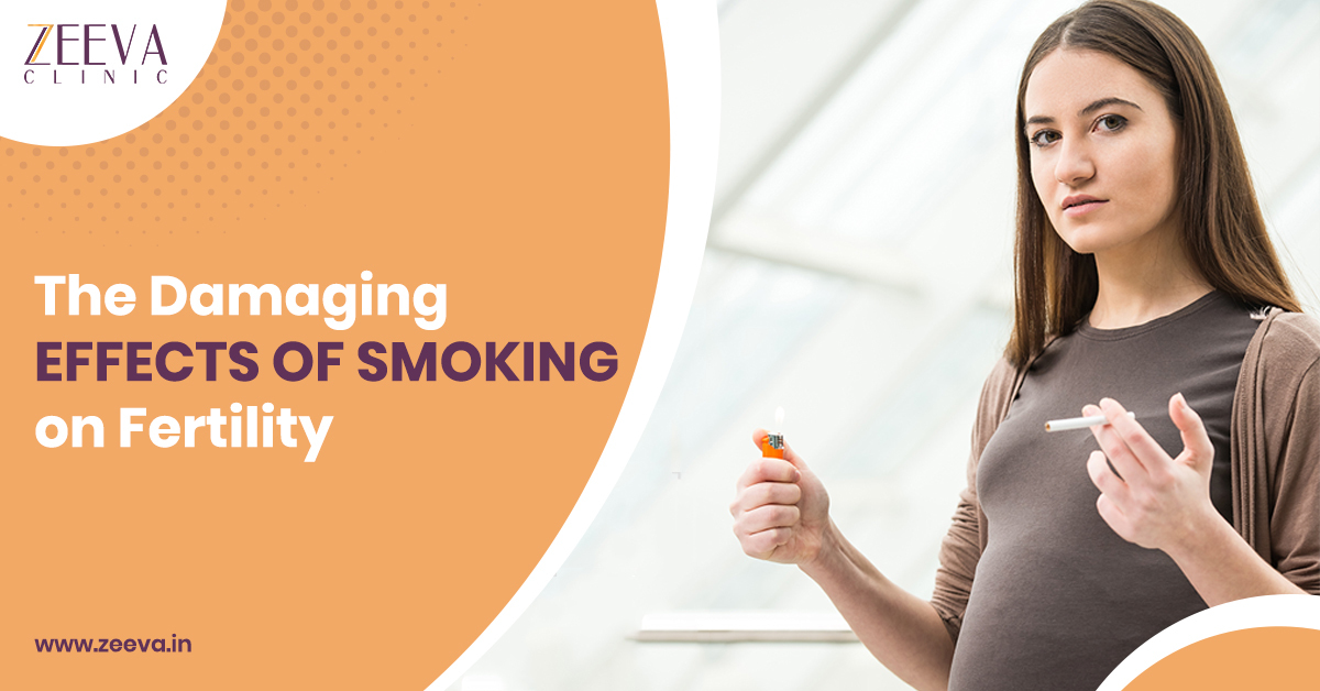 The Damaging Effects of Smoking on Fertility