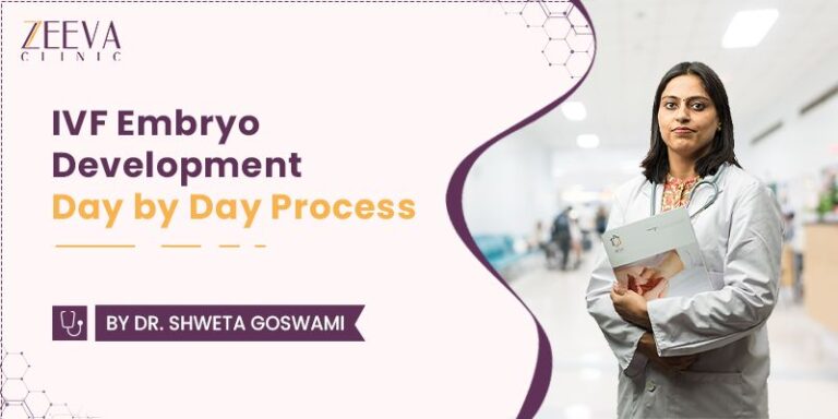IVF Embryo Development Day By Day With Stages