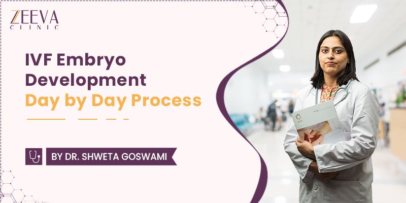 IVF Embryo Development Day By Day With Stages