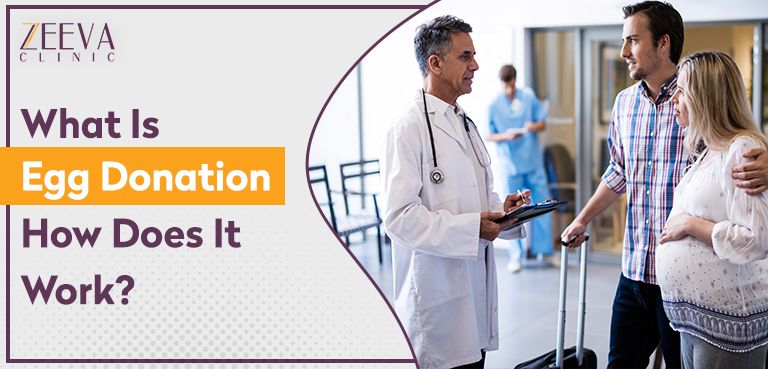 What Is Egg Donation And How Does It Work?